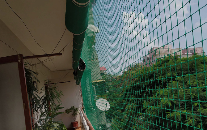 Anti Bird Nets In  Hadapsar